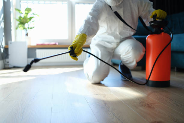 Trusted Odor Removal service in Seabrook, SC - Four Month Blood Cleanse